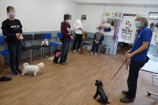 犬 しつけ教室 東京で有名 評判の犬のしつけ教室can Do 東京 世田谷 犬 しつけ教室 東京で有名 評判の犬のしつけ教室can Do 東京 世田谷